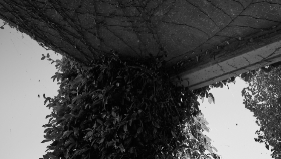 Glendale 2025-07-10