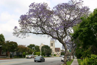 Pasadena, 2005-05-08