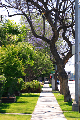 Pasadena, 2007-05-06