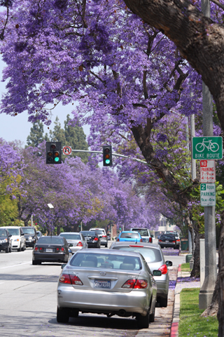 Pasadena, 2008-05-11