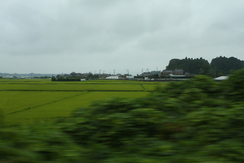 Ibaraki, 2008-08-24