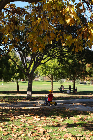 Pasadena, 2008-11-30