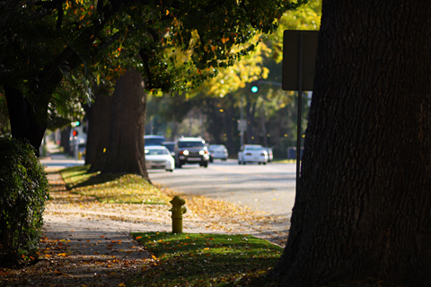 Pasadena, 2009-01-11