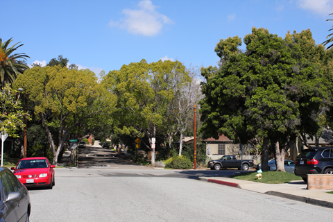 South Pasadena, 2009-02-14