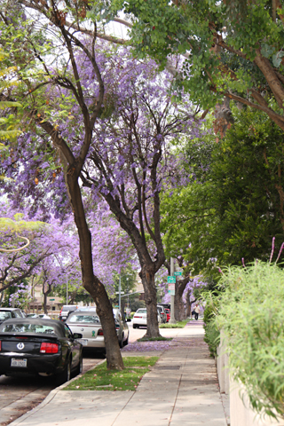 Pasadena, 2009-06-07