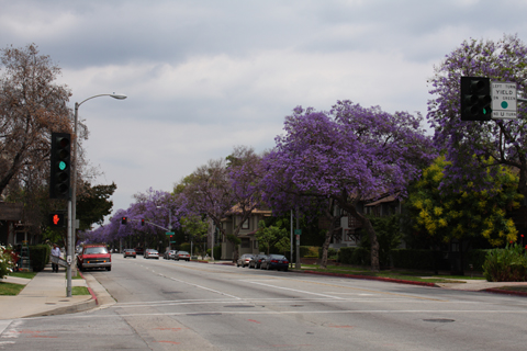 Pasadena, 2009-06-07