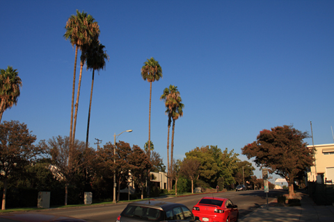 SouthPasadena, 2009-09-27