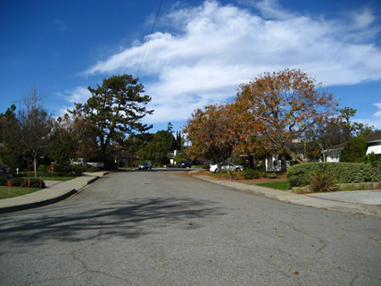 South Pasadena, 2010-01-03