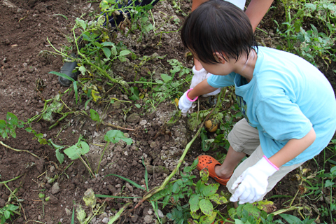 Sapporo, 2010-08-07