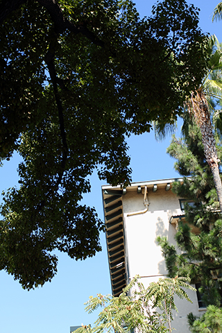 South Pasadena, 2011-10-23