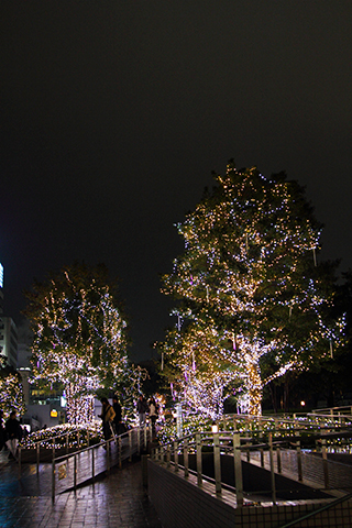 Shinjuku, 2012-11-26