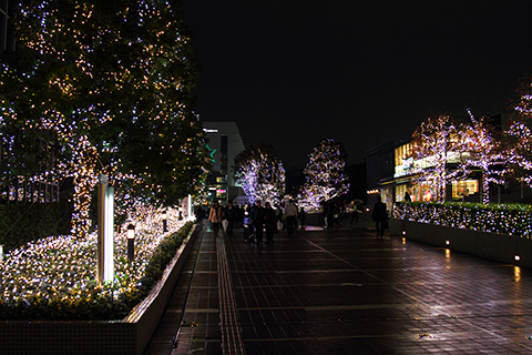 Shinjuku, 2012-11-26