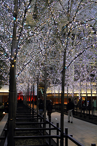 Haneda, 2012-12-02