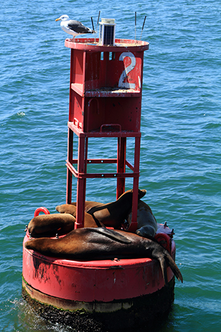 Long Beach, 2013-08-26