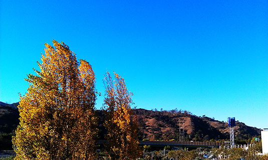 Glendale, 2013-12-04