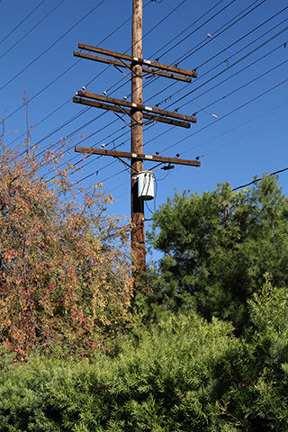 South Pasadena, 2013-12-14