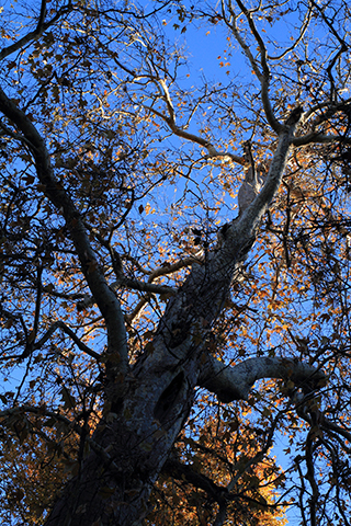 San Louis Obispo, 2013-12-24