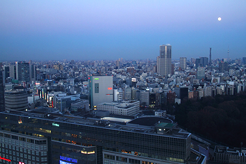 Odaiba, 2015-01-06