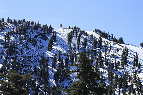 Mt Baldy 2016-02-21