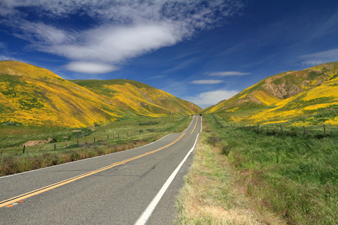 Carrizo Plain 2017-04-16