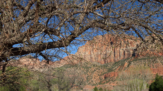 Zion 2018-04-03