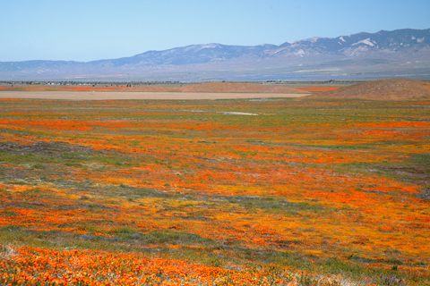 Antelope Valley 2019-04-22