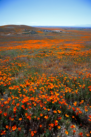 Antelope Valley 2019-04-22