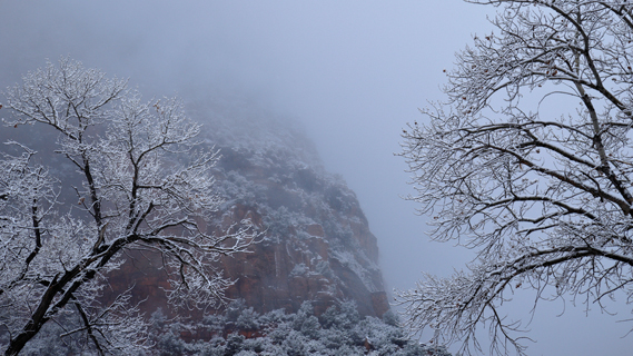 Zion 2019-12-27