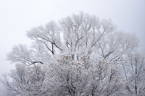 Zion 2019-12-27