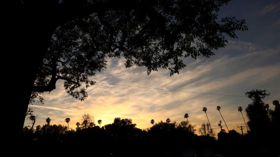 South Pasadena 2022-02-14