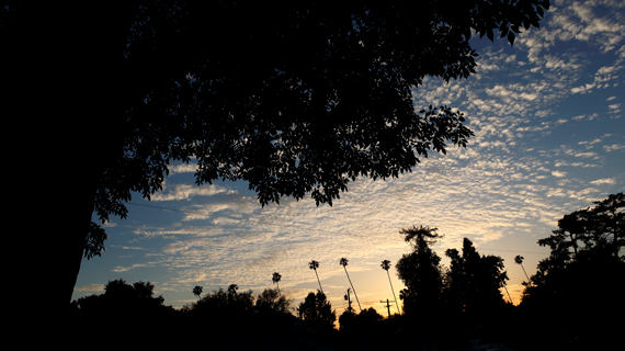 South Pasadena 2022-05-14