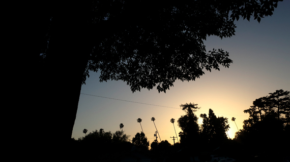 South Pasadena 2022-06-15