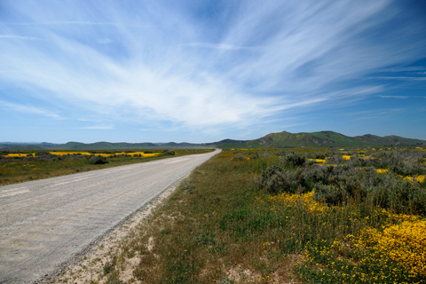 Soda Lake 2023-04-16