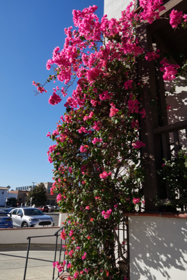 Pasadena 2024-11-14