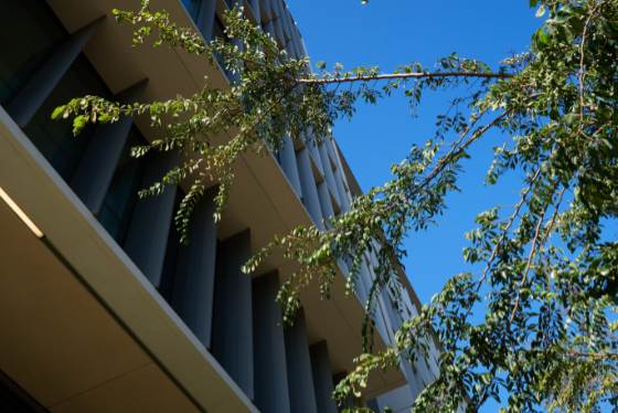 Berkeley 2025-08-24