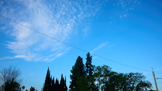 Monrovia 2026-03-29