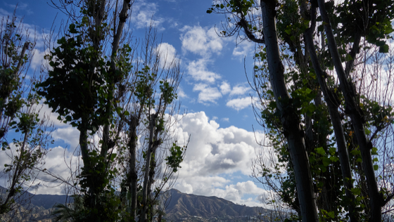 Glendale 2026-04-13