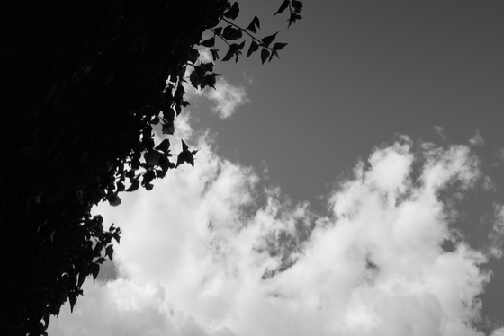 Glendale 2026-04-13