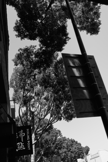 Pasadena 2026-07-18